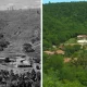 Braziliyalik er-xotin 20 yilda katta o‘rmonni tiklashdi (foto)