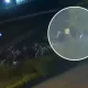 Жанубий Кореяда велосипедларни ўғирлаган ўзбекистонлик талабалар қўлга олинди (видео)