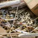 Самарқандда пиротехника воситалари йўқ қилинди
