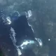 Одессада шамол чақалоқ бўлган коляскани денгизга учириб юборди (видео)