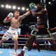 Ruslan Chagayev Isroil Madrimov va Krouford jangi borasida fikr bildirdi