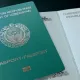 179 кишига Ўзбекистон фуқаролиги берилди
