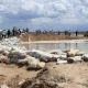 «Uylar birin-ketin qulay boshladi». Maqtaaraldagi suv toshqinini o‘z ko‘zi bilan ko‘rgan qutqaruvchilar hikoyasi