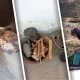 Qishloq ayoli haqida uch hikoya