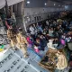 Германиянинг иккинчи эвакуация самолёти 125 нафар йўловчи билан Германиянинг иккинчи эвакуация самолёти 125 нафар йўловчи билан Афғонистондан учиб келди