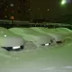 Россиянинг Воркута шаҳрида қор ёғди