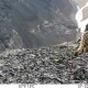 Ugom-Chotqol milliy tabiat bog‘ida noyob qor qoploni ko‘rinish berdi (video)