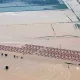 «Сардоба» тўғони ўпирилишига нима сабаб бўлгани маълум қилинди