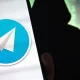 Бухоро ва Наманганда Telegram орқали ўғрилик қилган талабалар қўлга олинди