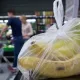 Bojsiz rejim tugamoqda: oziq-ovqat mahsulotlari qimmatlashadimi?