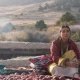 Bayram kunlarida qanday o‘zbek filmlarini tomosha qilish mumkin?
