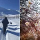 Qashqadaryoda ikki xil fasl kuzatilmoqda: Kitobda qor, G‘uzorda bahor
