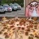 Тўйларни тартибга солиш тўғрисидаги низом эълон қилинди