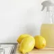 Limonun Giderilebileceği Ev Problemleri