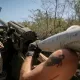 Ukraina va Rossiya frontda nimalarga erishdi va buyog‘iga nima bo‘ladi?