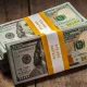 Самарқанд давлат университети ўқитувчиси қўлга олинди