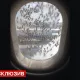 Внуково аэропортида "Аэробус" йўловчи самолёти устига минглаб асаларилар ёпирилди