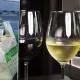 Urush O‘zbekistondagi ukrainalik tadbirkorlar faoliyatiga qanday ta’sir ko‘rsatdi?