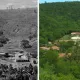Бразилиялик эр-хотин 20 йилда катта ўрмонни тиклашди (фото)