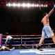 Iyul-avgust oyida tashkil etiluvchi professional boks olamidagi super janglar bilan tanishing