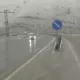 Қамчиқ довонида қор ёғмоқда (видео)