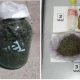 Божхоначилар хонадонда сақланаётган гиёҳвандлик воситаларини фош этишди