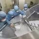 Коронавирусдан безгакка қарши дорилар ёрдамида даволанса бўладими?