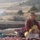 Bayram kunlarida qanday o‘zbek filmlarini tomosha qilish mumkin?