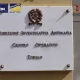 Европада 31 нафар мафия аъзоси ҳибсга олинди