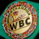 WBC янгиланган рейтингида 8 нафар ўзбекистонлик боксчи жой олди