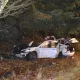 Katta tezlikda daraxtga urilgan Tesla’ning batareyasi sochilib ketdi (foto)