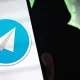 Бухоро ва Наманганда Telegram орқали ўғрилик қилган талабалар қўлга олинди