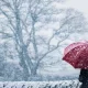 19 fevral kuni havo bulutli bo‘ladi, ba’zi joylarda qor yog‘adi