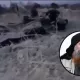 «U it kabi o‘lim topdi» — Tramp al-Bag‘dodiy yo‘q qilinganini tasdiqladi