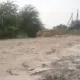 Зоминда сел оқизиб кетган опа-ука воқеасига оид қўшимча маълумот берилди