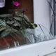 Rossiya Ukraina shaharlariga zarba bermoqda, Ukraina ham shunday javob qaytara oladimi?