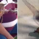 Ақтўбе шаҳрида пайдо бўлган номаълум жонзот интернет юлдузига айланмоқда