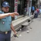 Bangladesh poytaxtining diplomatik dahasidagi restoranlarda odamlar garovga olindi