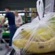 Божсиз режим тугамоқда: озиқ-овқат маҳсулотлари қимматлашадими?