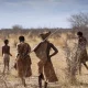 Noyob genetik izchilliklar Afrikadagi qadimgi odamlarning tarixini yoritadi