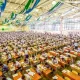 Бу йилги тест синовлари қандай ўтказилади?
