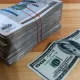«Dollarchi»larga litsenziya berish kerakmi...?