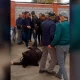 Наманганда она-бола 30 га яқин эркак томонидан аёвсиз калтаклагани айтилган хабарга изоҳ берилди
