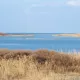 Айдар-Арнасой кўллар тизими ишончли бошқарувга берилади