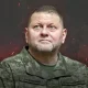 Mashhurlikda Zelenskiy bilan bellashadi. Zalujniy bunga qanday erishdi?