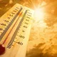 Бугун Тошкентда +41°С гача иссиқлик кутилмоқда