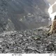 Ugom-Chotqol milliy tabiat bog‘ida noyob qor qoploni ko‘rinish berdi (video)