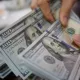 Ўзбекистонда долларнинг расмий курси 3700 сўмлик «довон»га яқинлашмоқда