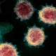 Коронавируснинг биринчи муҳим мутацияси аниқланди