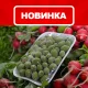 Korzinka.uz qadoqlangan dovchalarni savdoga chiqardi